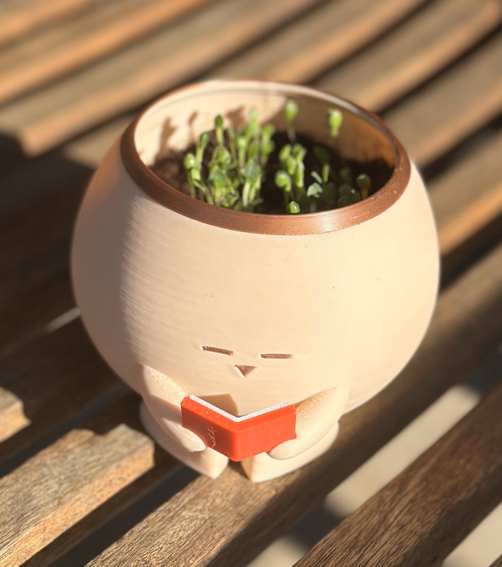 Seedlings growing in cute pot holding a miniature book